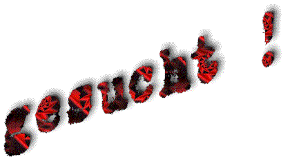 g0004gif.gif (14124 Byte)